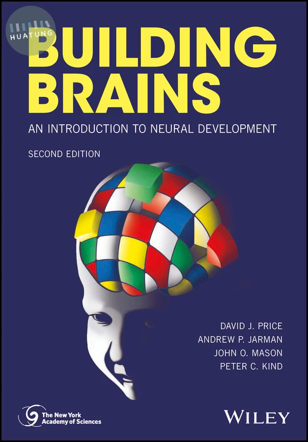 Building Brains 