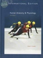 HUMAN ANATOMY & PHYSIOLOGY (6版)