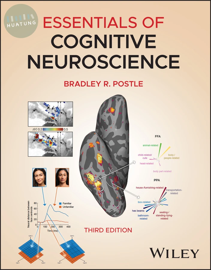 Essentials of Cognitive Neuroscience 