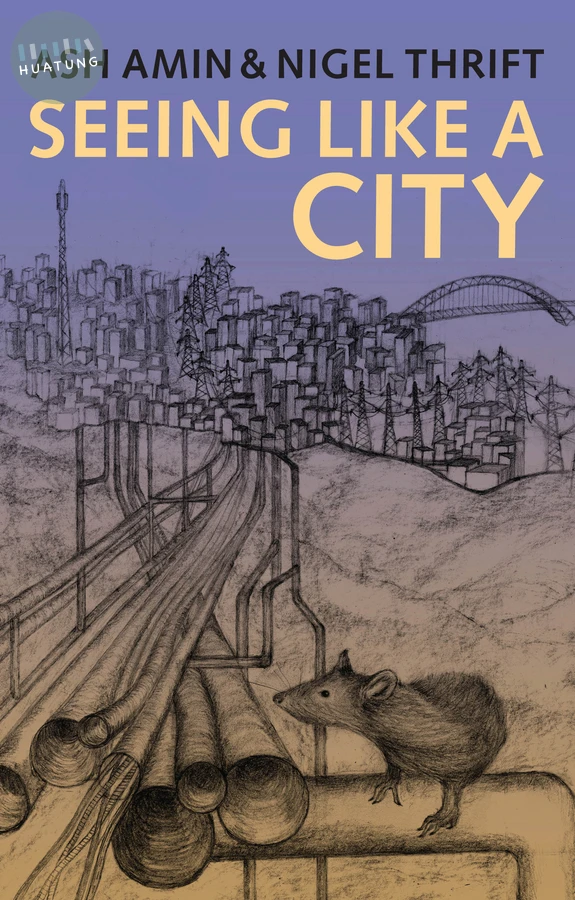 Seeing Like a City 