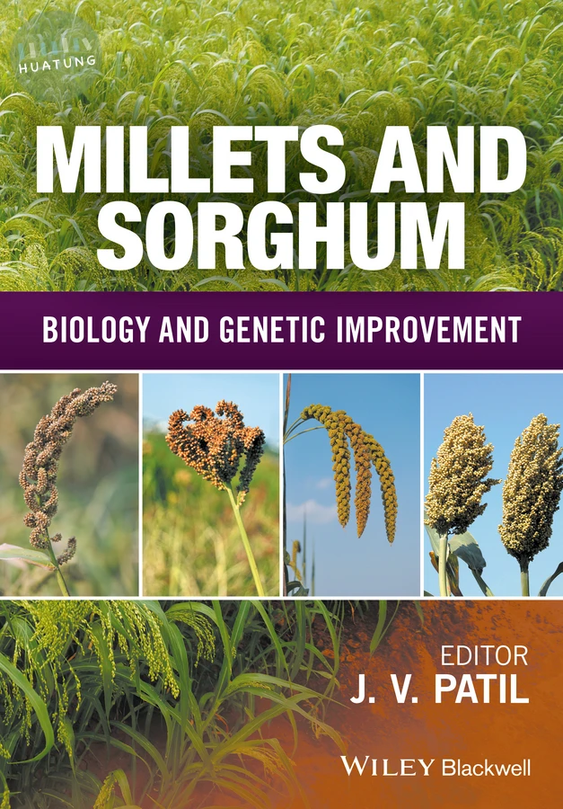Millets and Sorghum 