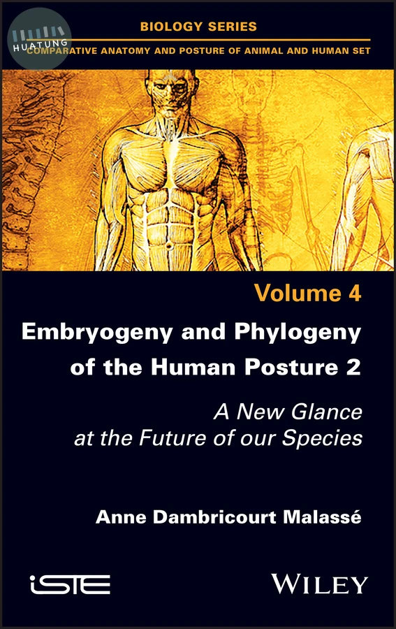 Embryogeny and Phylogeny of the Human Posture 2 