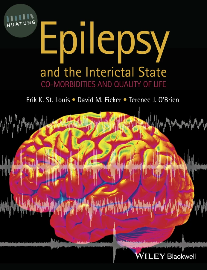 Epilepsy and the Interictal State 