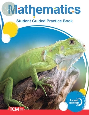 Focused Instruction: Mathematics Intervention: Level 1: Student Guided Practice Book (1版)