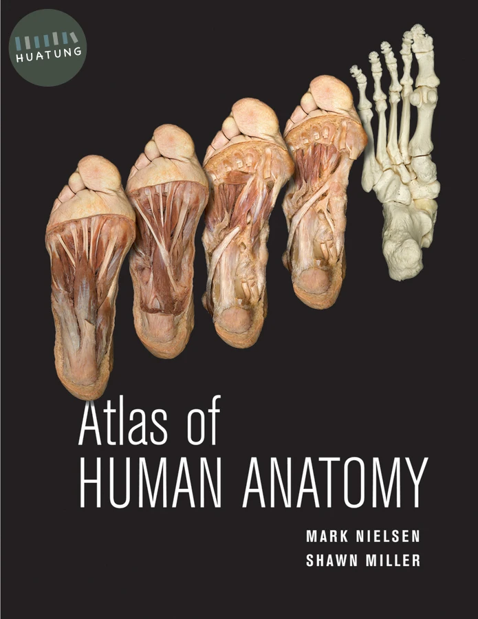 Atlas of Human Anatomy 