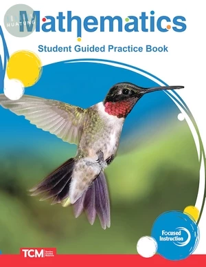Focused Instruction: Mathematics Intervention: Level 2: Student Guided Practice Book (1版)
