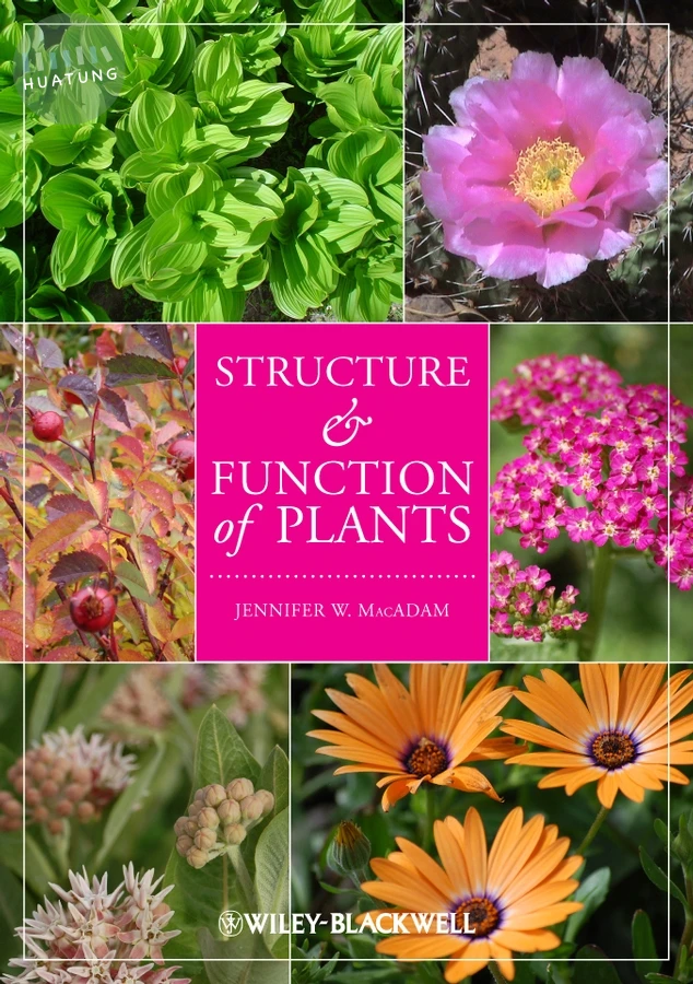 Structure and Function of Plants 
