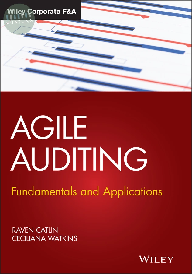 Agile Auditing 