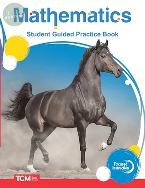 Focused Instruction: Mathematics Intervention: Level 3: Student Guided Practice Book (1版)