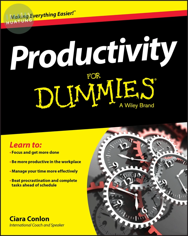Productivity For Dummies 