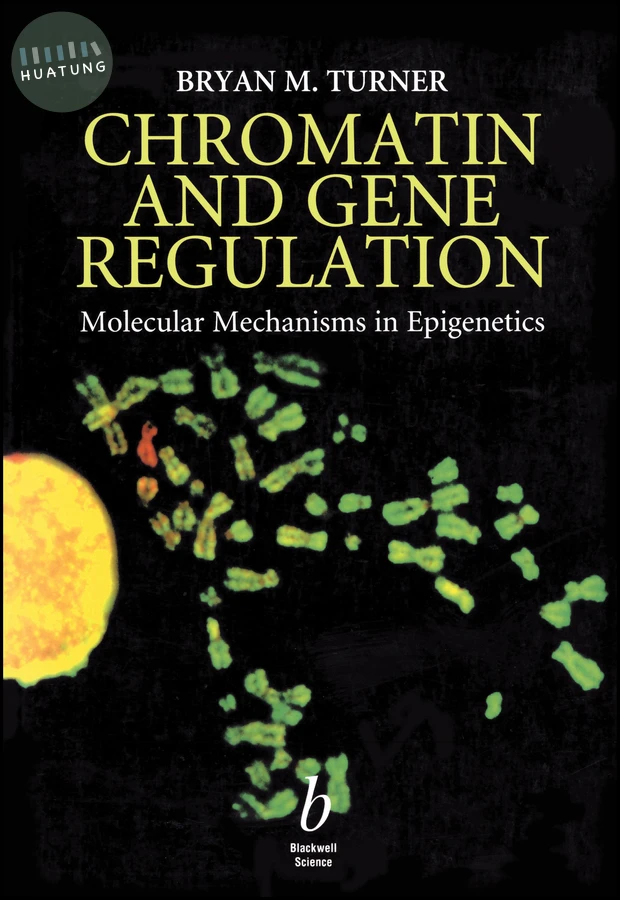Chromatin and Gene Regulation 