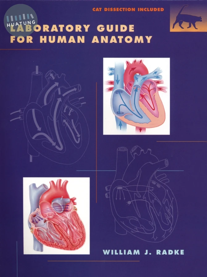 A Laboratory Guide to Human Anatomy 
