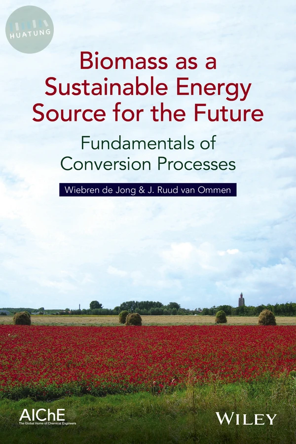 Biomass as a Sustainable Energy Source for the Future 