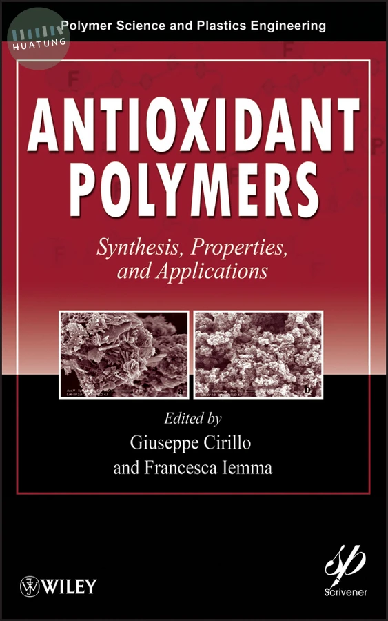 Antioxidant Polymers 
