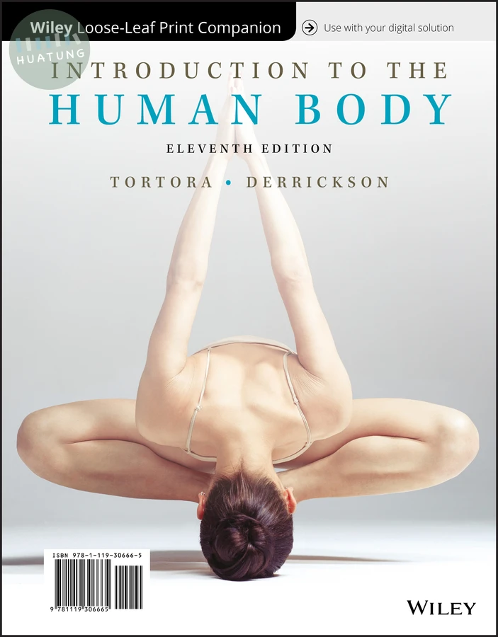 Introduction to the Human Body 