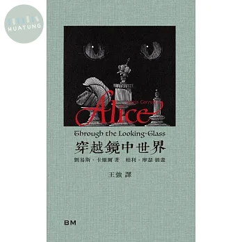 穿越鏡中世界 (1版)
