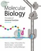 Molecular Biology (2版)