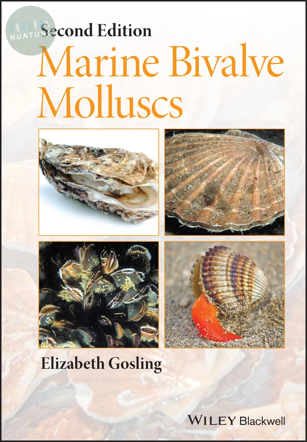 Marine Bivalve Molluscs 