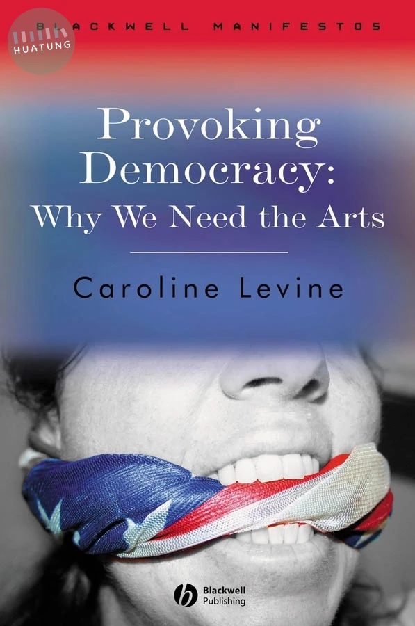 Provoking Democracy 