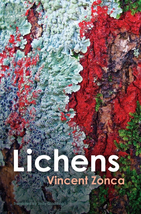 Lichens 