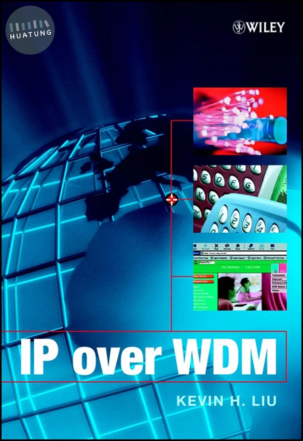 IP over WDM 