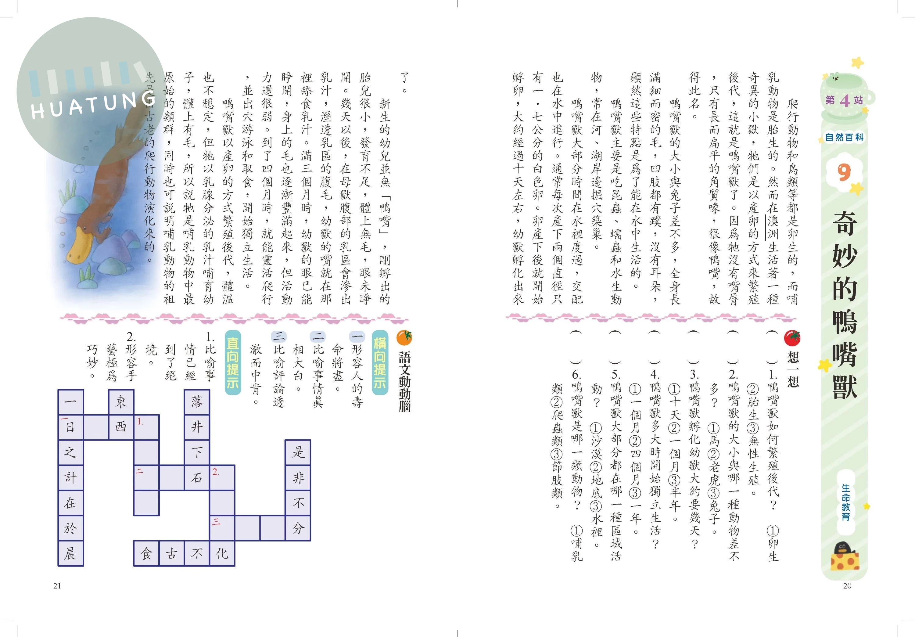 漢華文教國小 閱讀起步走高年級2 