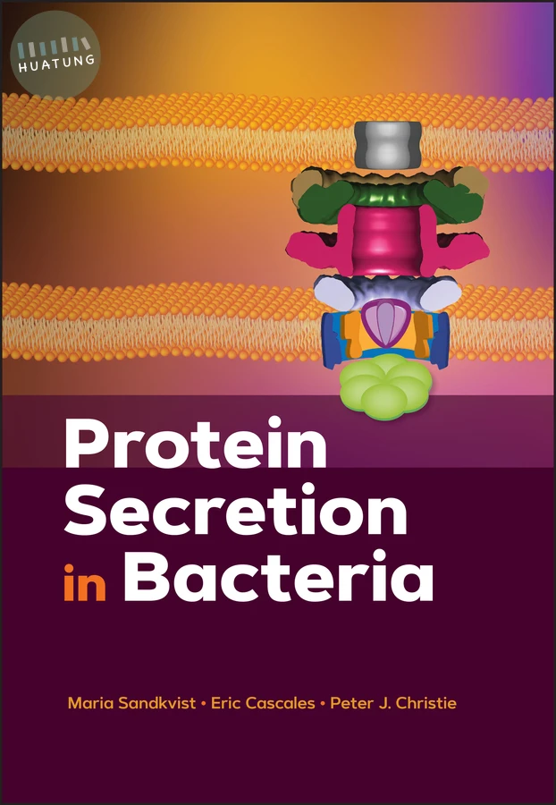 Protein Secretion in Bacteria 